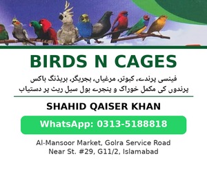 Birds N Cages